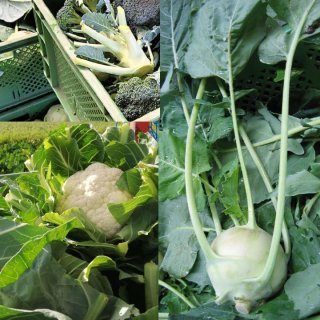 platzhalter