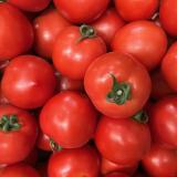 Tomate rund - aus eigenem Anbau