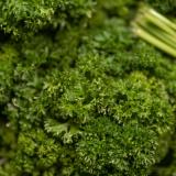 Petersilie kraus - aus eigenem Anbau