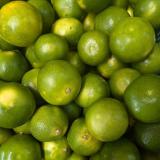 Satsuma - grüne Schale