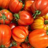 Tomate Ochsenherz - aus eigenem Anbau