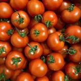 Tomate Baylee - aus eigenem Anbau