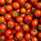 Tomate Cocktail/Dattelino - aus eigenem Anbau