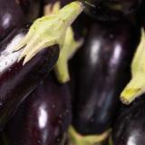 Aubergine - aus eigenem Anbau