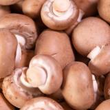 Pilze Steinchampignons