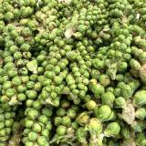 Rosenkohl am Strunk - aus eigenem Anbau