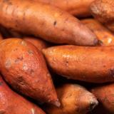 Süßkartoffel