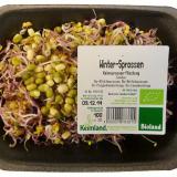 Sprossen, Winter 50g - aus Bonlanden