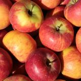 Apfel Topaz - aus Stuttgart