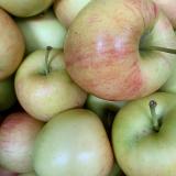 Apfel Summercrisp neue Ernte - aus Stuttgart