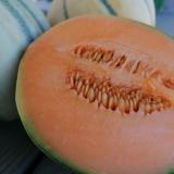 Melone Charentais