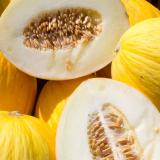 Melone Honig