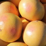 Grapefruit