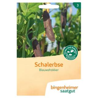 Saatgut Erbse, Schalerbse blau