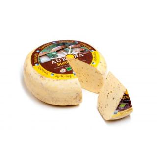 Aurora Gold Steinpilz