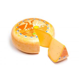 Aurora Gold Gouda Möhre