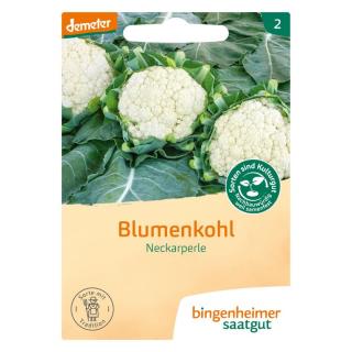 Saatgut Blumenkohl, Neckarperle
