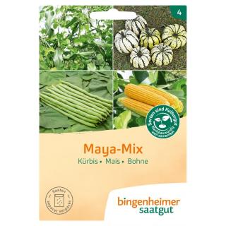 Saatgut Maya-Mix (Kürbis, Mais, Bohne)