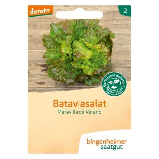 Saatgut Salat, Batavia, Maravilla de Verano
