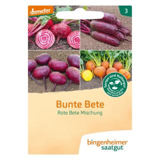 Saatgut Rote Bete Mischung Bunte Bete