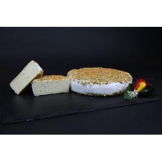 Gambrinus Brie
