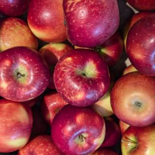 Apfel Ipador