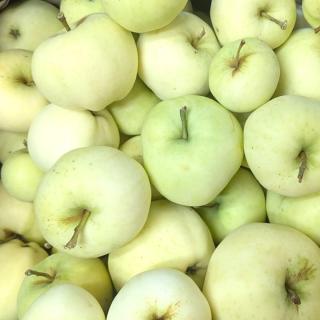 Apfel Klarapfel - aus eigenem Anbau