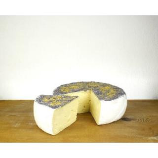 Tomme Fleurie Herbstblüte
