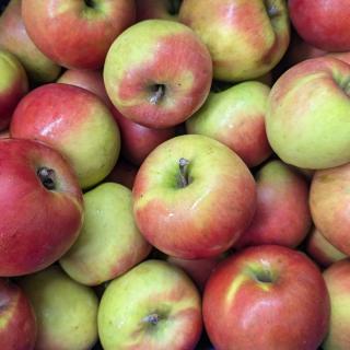 Apfel Delcored - aus Stuttgart