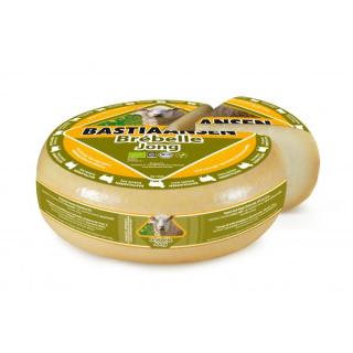 Schaf Gouda Brébelle