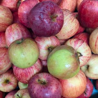 Apfel säuerliche Sorte - aus Stuttgart