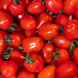 Tomate Dattelino - aus eigenem Anbau