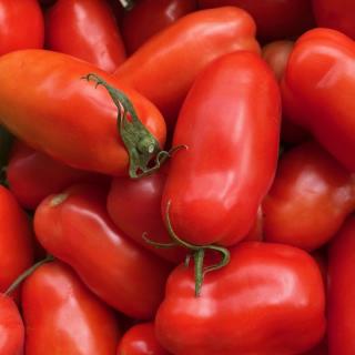 Tomate Roma - aus eigenem Anbau