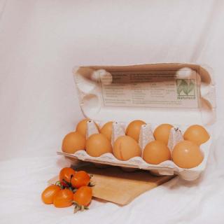 Eier 10 Stück Naturland oder Bioland