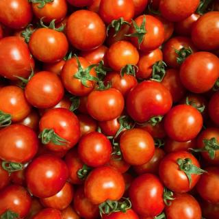 Tomate Cocktail/Dattelino - aus eigenem Anbau