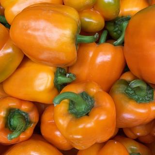 Paprika orange - aus eigenem Anbau