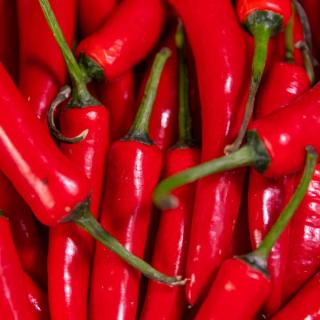 Peperoni rot