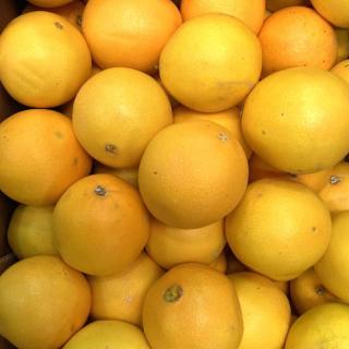 Orange, Saft