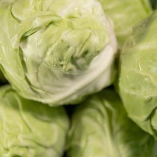 Weißkraut Neue Ernte - aus eigenem Anbau