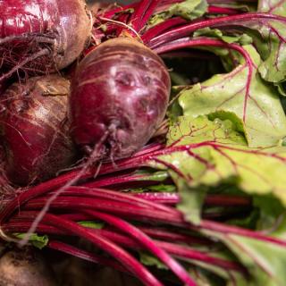 Rote Bete im Bund - aus eigenem Anbau