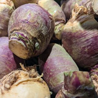 Steckrübe - aus eigenem Anbau