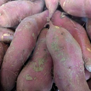 Süßkartoffel, weißes Fruchtfleisch