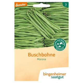 Saatgut Bohne, Busch- Marona