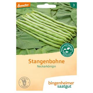 Saatgut Bohne, Stangen- Neckarkönigin