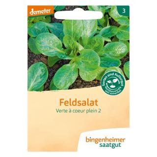 Saatgut Salat, Feldsalat dunkelgrün vollherziger
