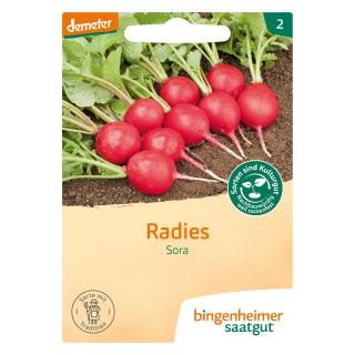 Saatgut Radieschen, Sora