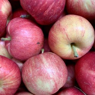 Apfel Gala - aus Stuttgart