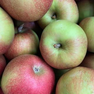 Apfel Santana (allergikerfreundlich)- aus Stuttgart