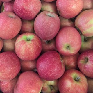 Apfel Cripps Pink