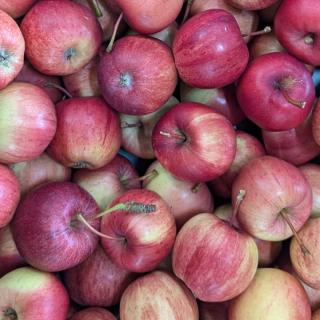 Apfel, klein für Kinder/Müsli